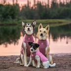 Non-Stop Dogwear Trail Quest Fleece Pullover