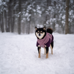 Non-Stop Dogwear Glacier Jacket 3.0