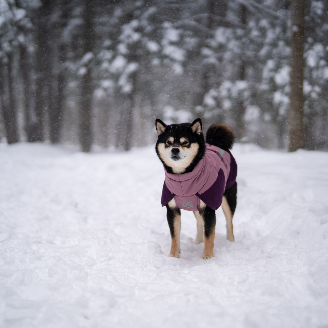 Non-Stop Dogwear Glacier Jacket 3.0