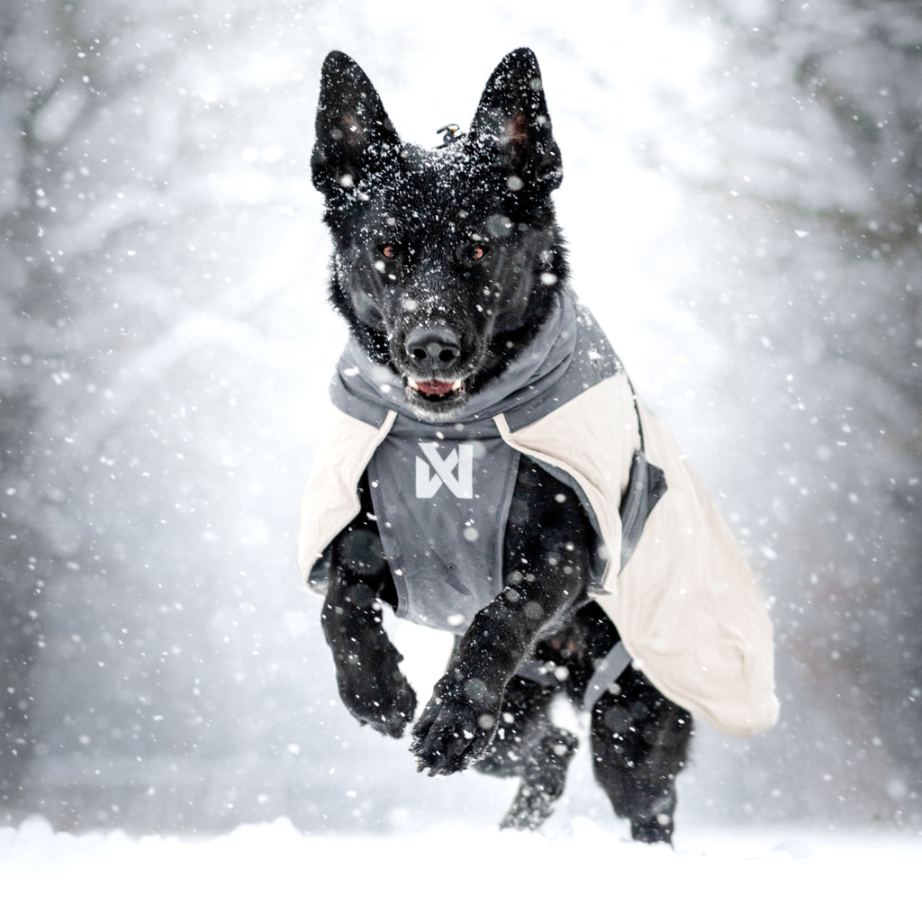 Non-Stop Dogwear Glacier Wool Jacket 3.0