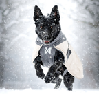 Non-Stop Dogwear Glacier Wool Jacket 3.0