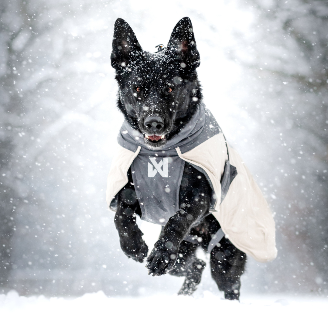 Non-Stop Dogwear Glacier Wool Jacket 3.0