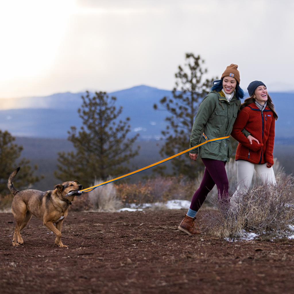 Ruffwear Roamer Correa elástica