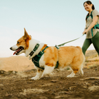 Ruffwear Front Range Flex Harness