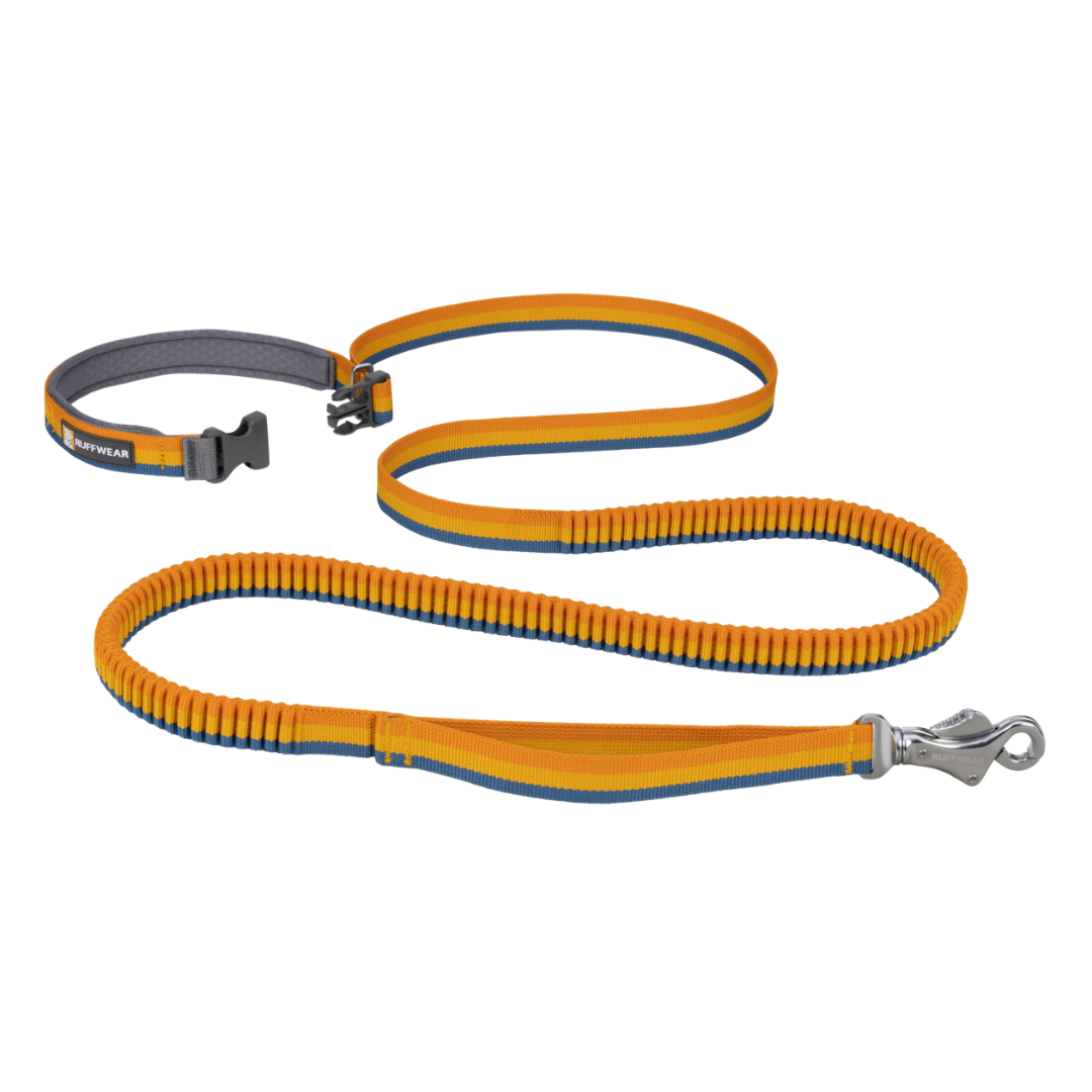 Ruffwear Roamer Correa elástica