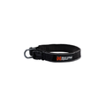 Non-Stop Dogwear Roam Collar