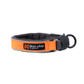 Non-Stop Dogwear Protector Collar