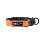 Non-Stop Dogwear Protector Collar
