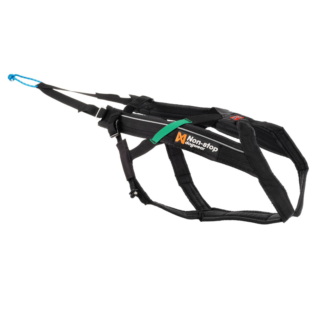 Non-Stop Dogwear Freemotion harness