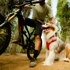 Ruffwear Front Range Flex Harness