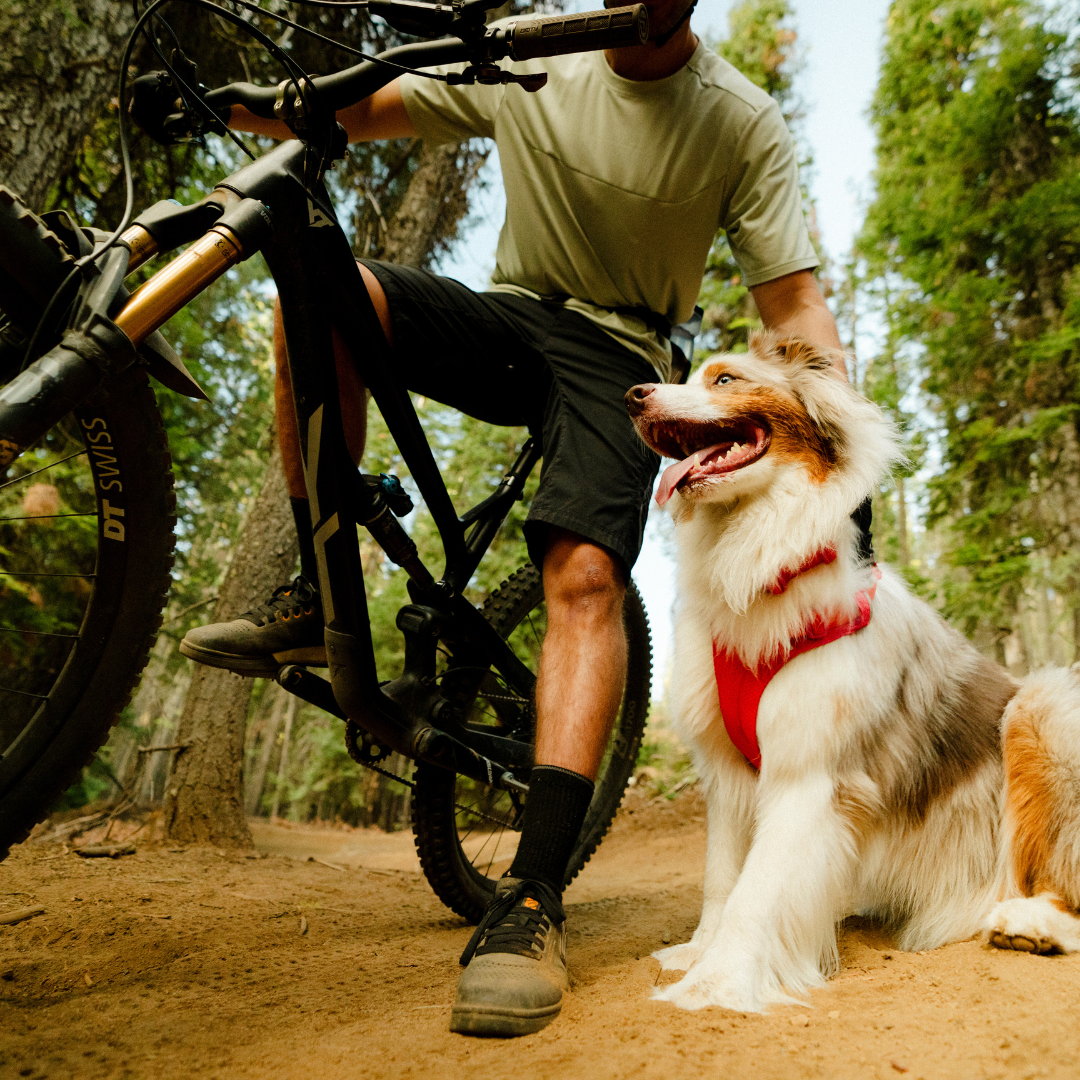 Ruffwear Front Range Flex Harness