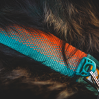 Ruffwear Collar Front Range™