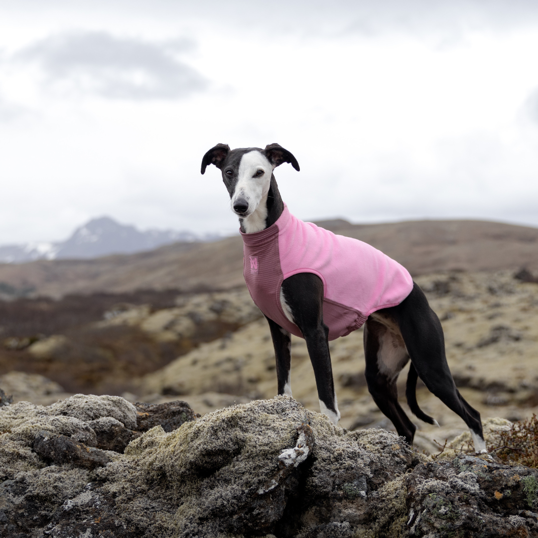 Non-Stop Dogwear Trail Quest Fleece Pullover