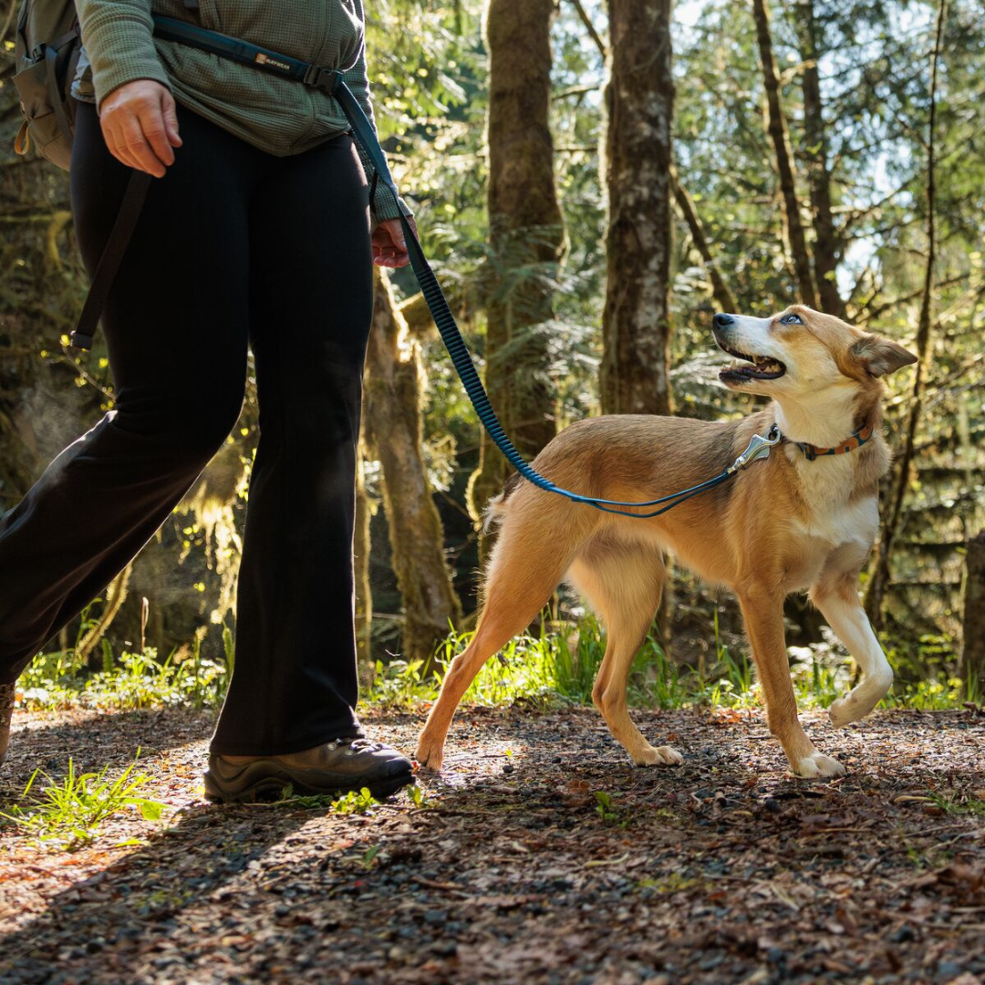Ruffwear Roamer Correa elástica