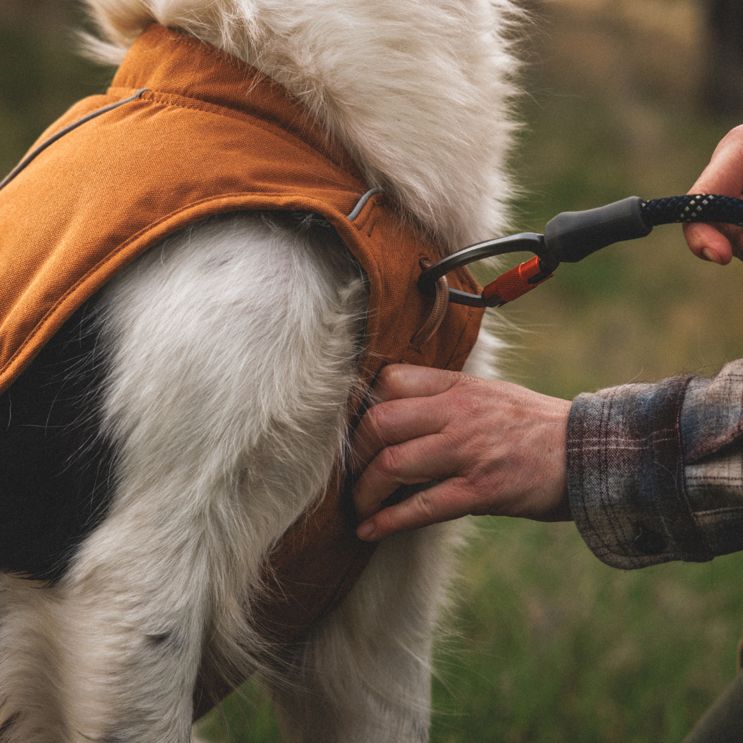 Ruffwear Overcoat Fuse