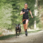 Non-Stop Dogwear Freemotion Harness Pro