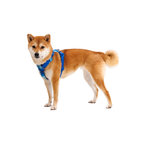 Ruffwear Arnés Front Range
