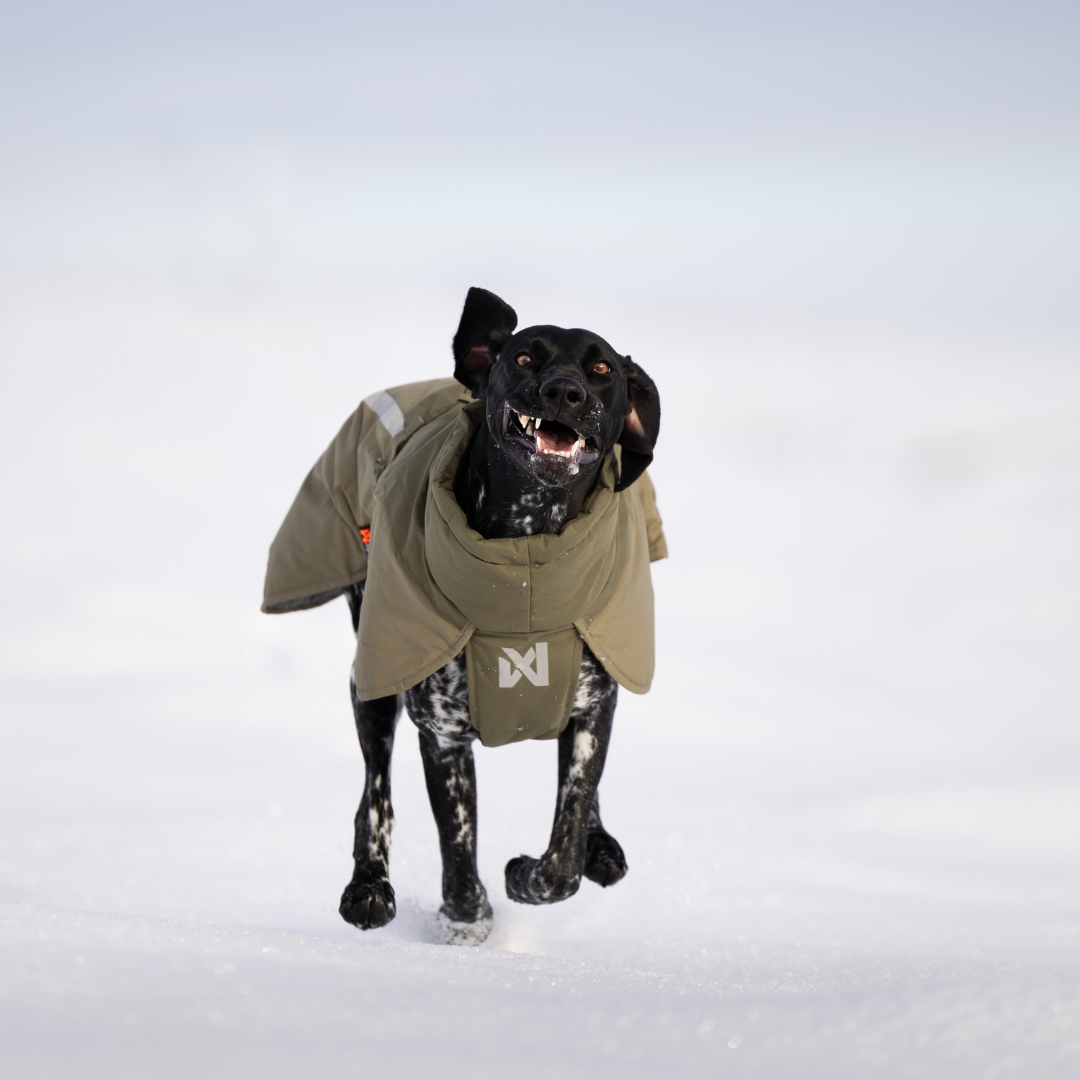 Non-Stop Dogwear Glacier Wool Jacket 3.0