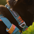 Ruffwear Collar Front Range™