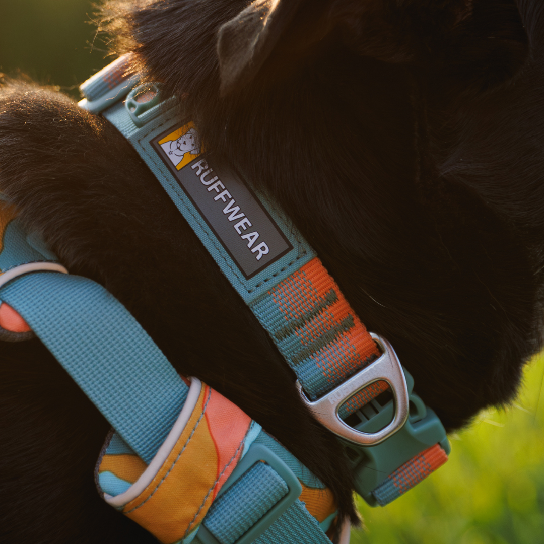 Ruffwear Collar Front Range™