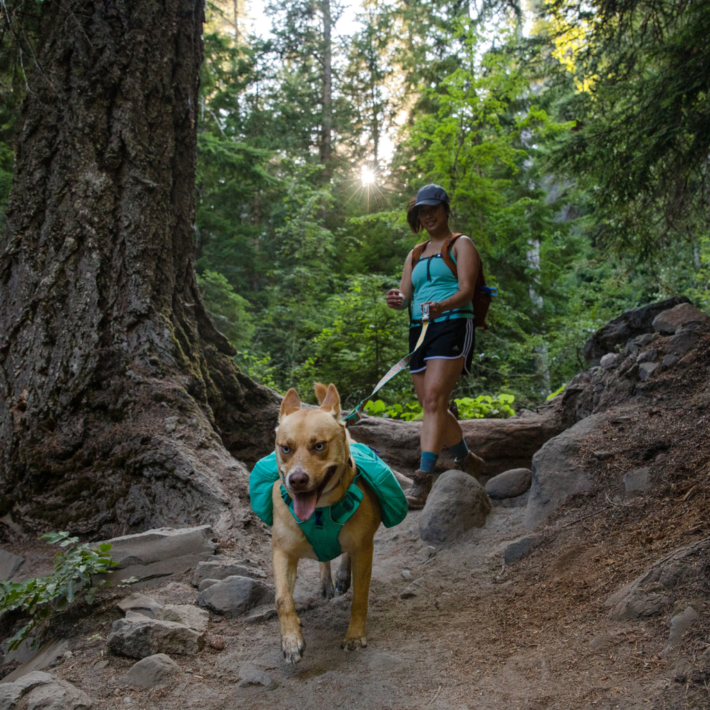 Ruffwear Front Range Mochila de Excursión