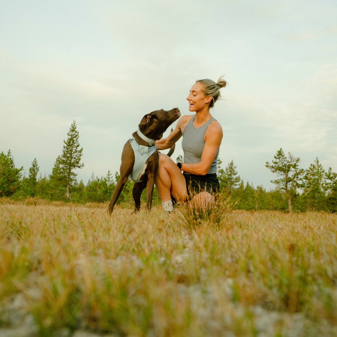 Ruffwear Front Range Flex Harness