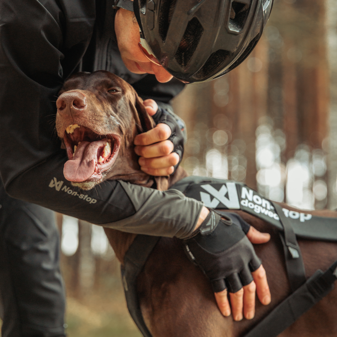 Non-Stop Dogwear Freemotion Harness Pro