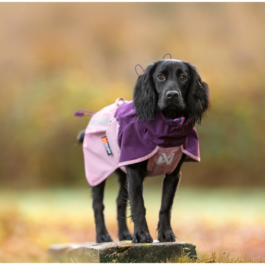 Non-Stop Dogwear Fjord Raincoat 2.0