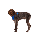 Ruffwear Arnés Front Range