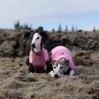 Non-Stop Dogwear Trail Quest Fleece Pullover