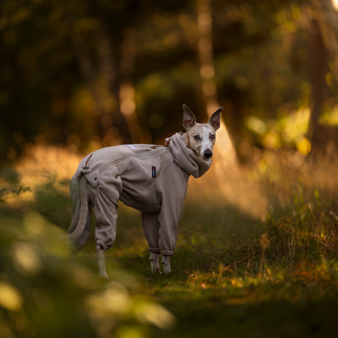 Non-Stop Dogwear Trail Quest Fleece Overall