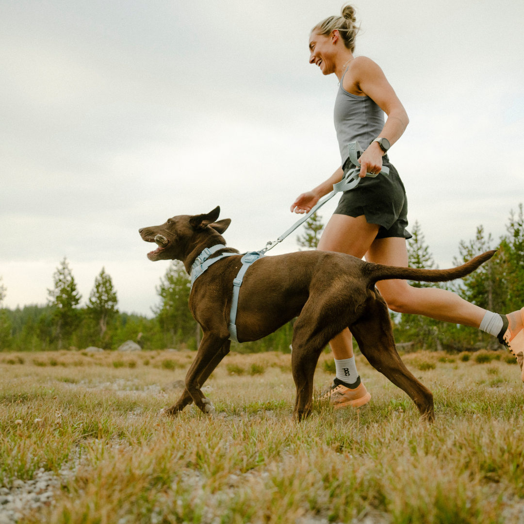 Ruffwear Front Range Flex Harness