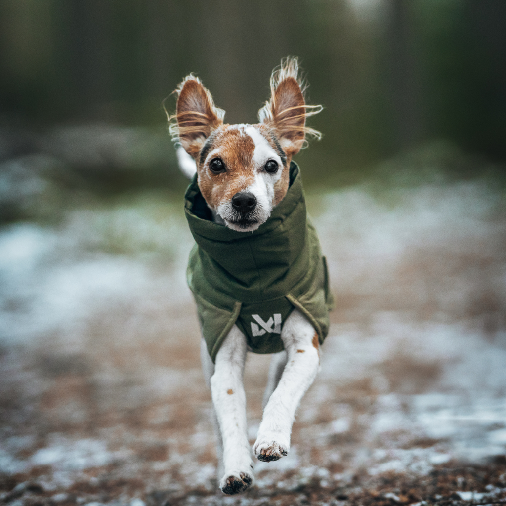 Non-Stop Dogwear Glacier Wool Jacket 3.0