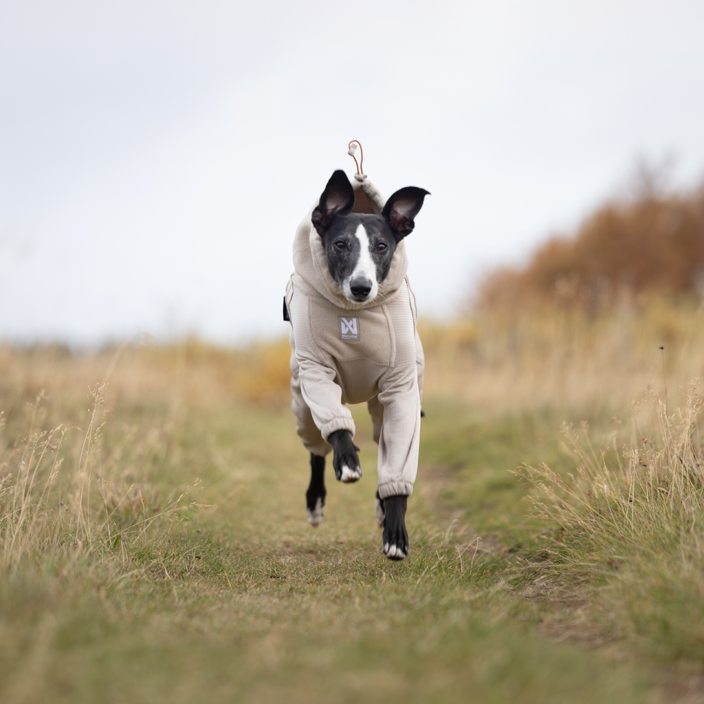 Non-Stop Dogwear Trail Quest Fleece Overall