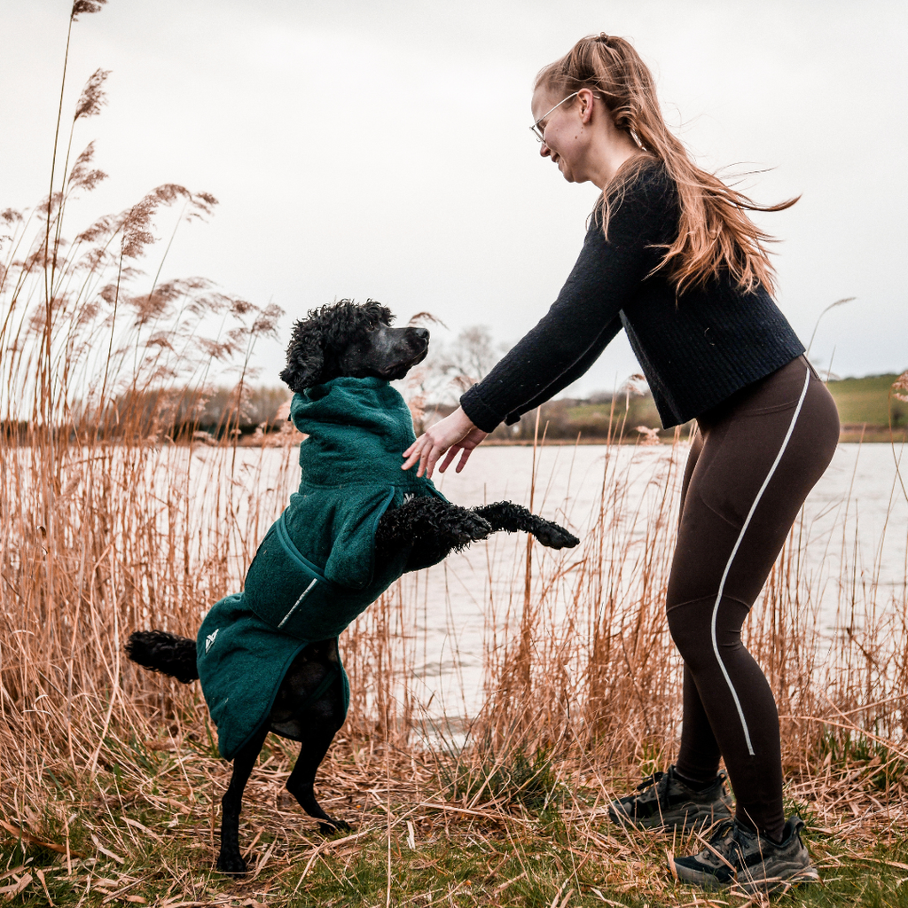 Non-Stop Dogwear Drying Coat