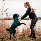 Non-Stop Dogwear Drying Coat