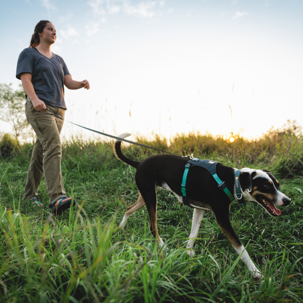 Ruffwear Hi & Light Arnés ligero