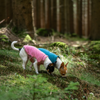 Non-Stop Dogwear Trail Quest Fleece Pullover