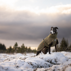 Non-Stop Dogwear Glacier Wool Jacket 3.0