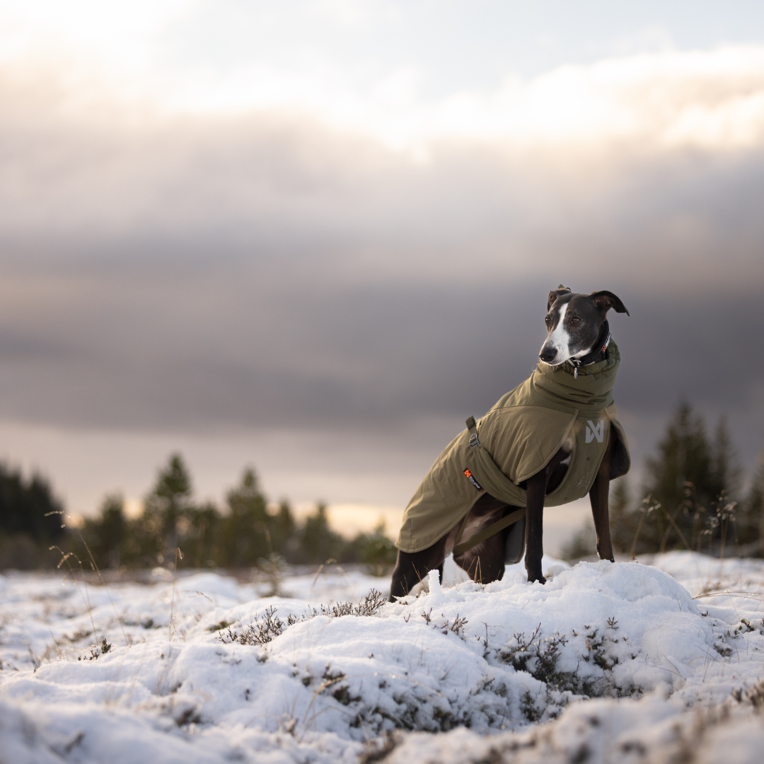 Non-Stop Dogwear Glacier Wool Jacket 3.0