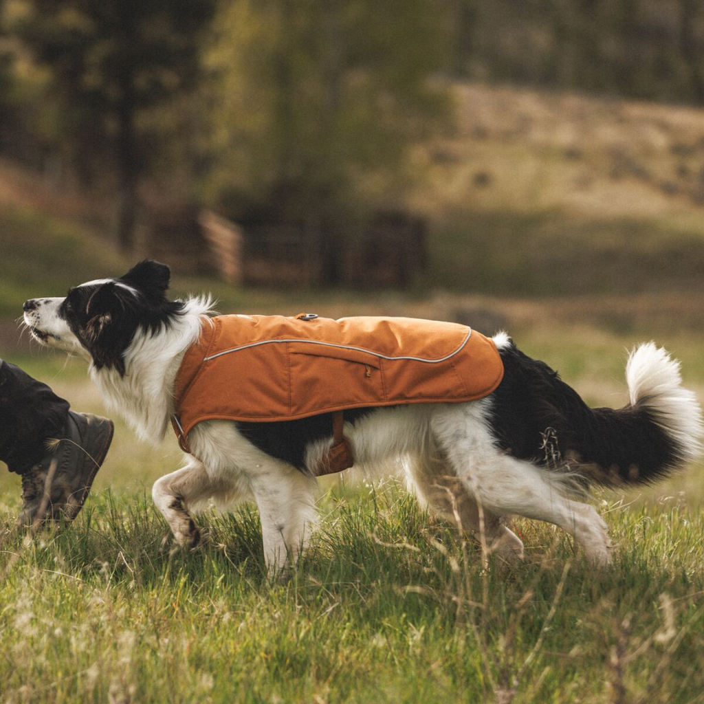 Ruffwear Overcoat Fuse