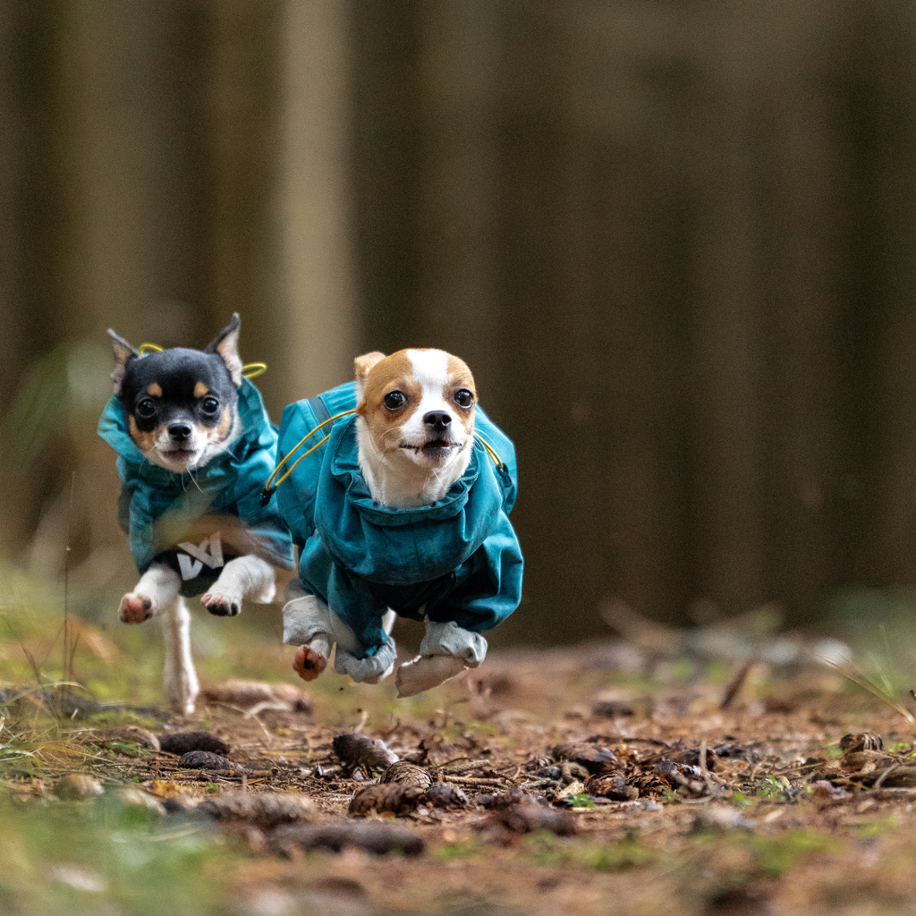 Non-Stop Dogwear Fjord Overall Regenjas