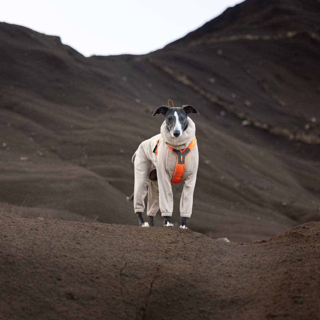 Non-Stop Dogwear Trail Quest Fleece Overall