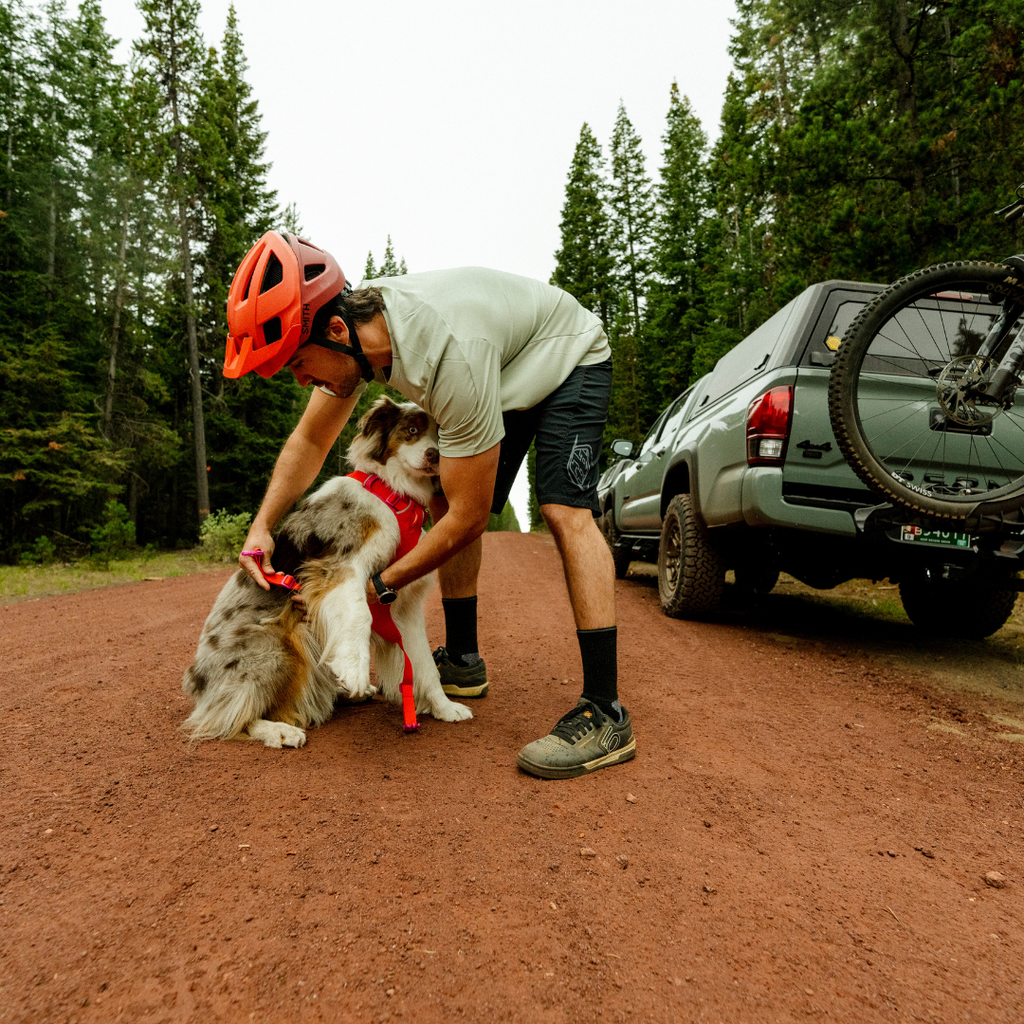 Ruffwear Front Range Flex Harness