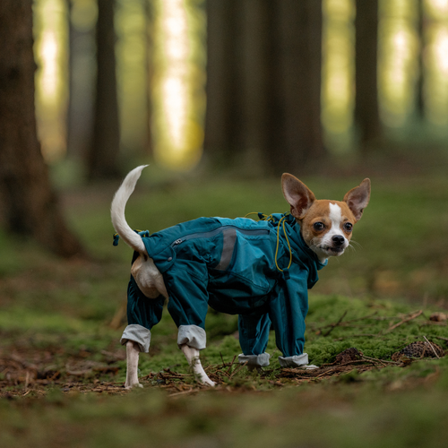 Non-Stop Dogwear Fjord Overall Regenjas