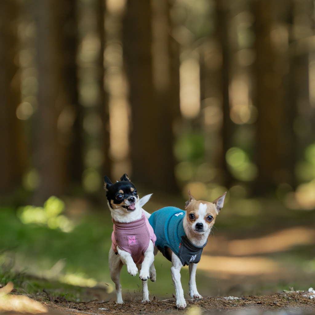 Non-Stop Dogwear Trail Quest Fleece Pullover