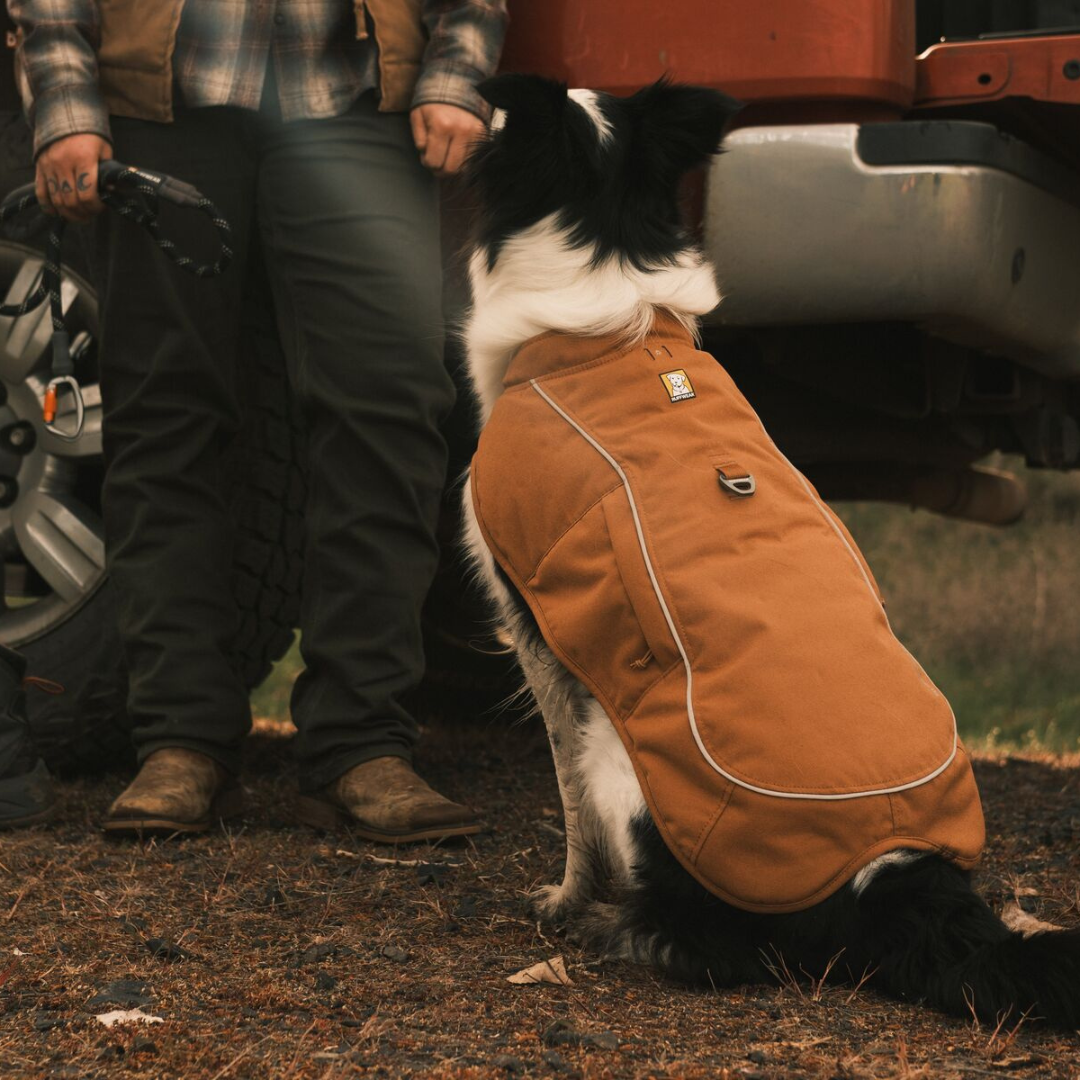 Ruffwear Overcoat Fuse