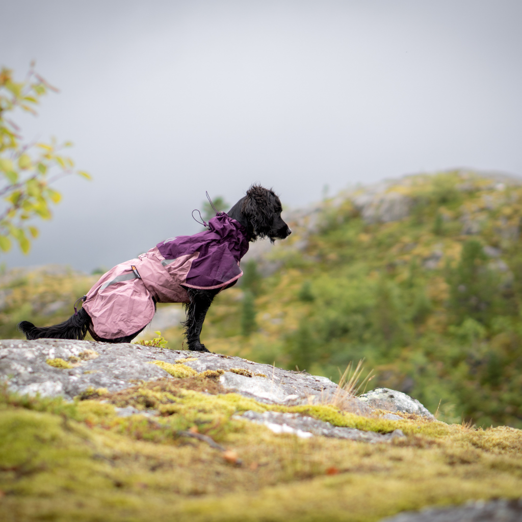 Non-Stop Dogwear Fjord Raincoat 2.0