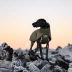 Non-Stop Dogwear Glacier Wool Jacket 3.0