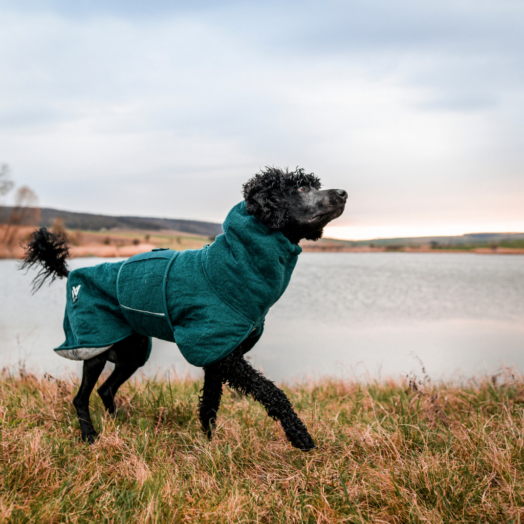 Non-Stop Dogwear Drying Coat